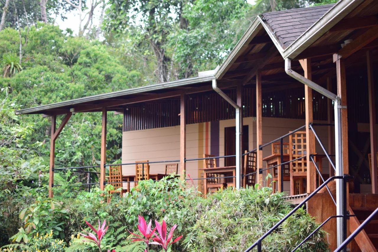 Hamadryade Lodge Puerto Misahuallí Exterior foto