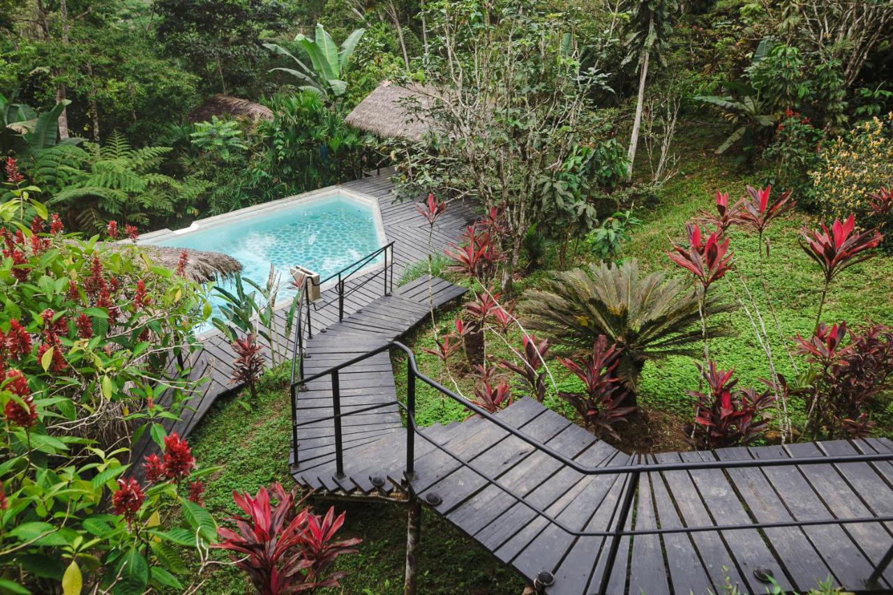 Hamadryade Lodge Puerto Misahuallí Exterior foto