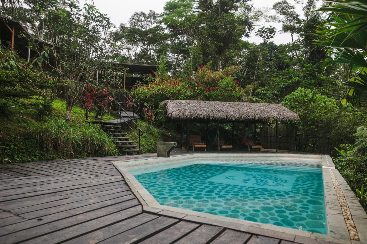 Hamadryade Lodge Puerto Misahuallí Exterior foto