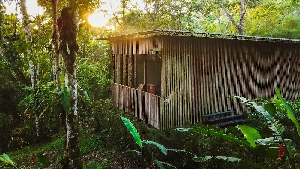 Hamadryade Lodge Puerto Misahuallí Exterior foto