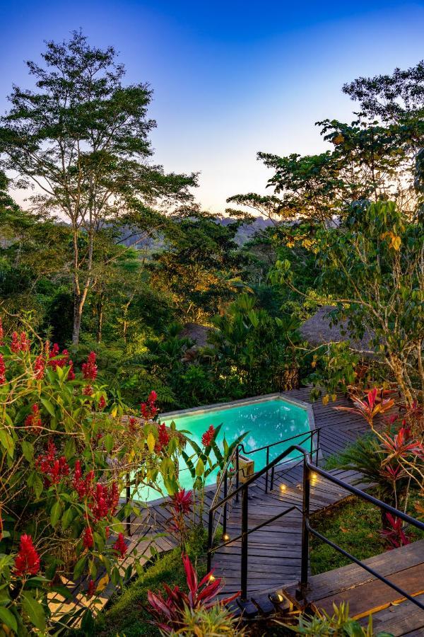 Hamadryade Lodge Puerto Misahuallí Exterior foto