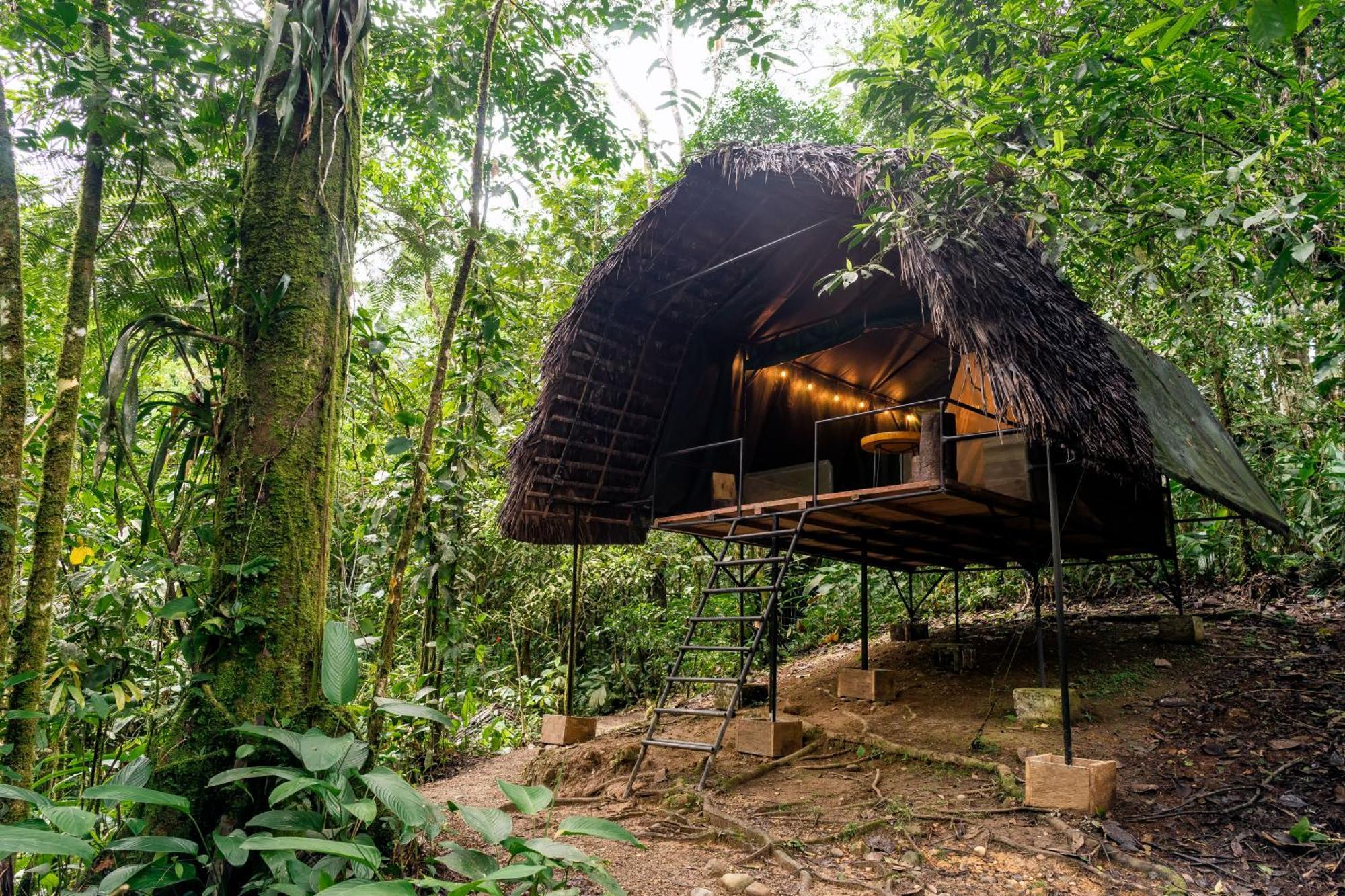 Hamadryade Lodge Puerto Misahuallí Habitación foto