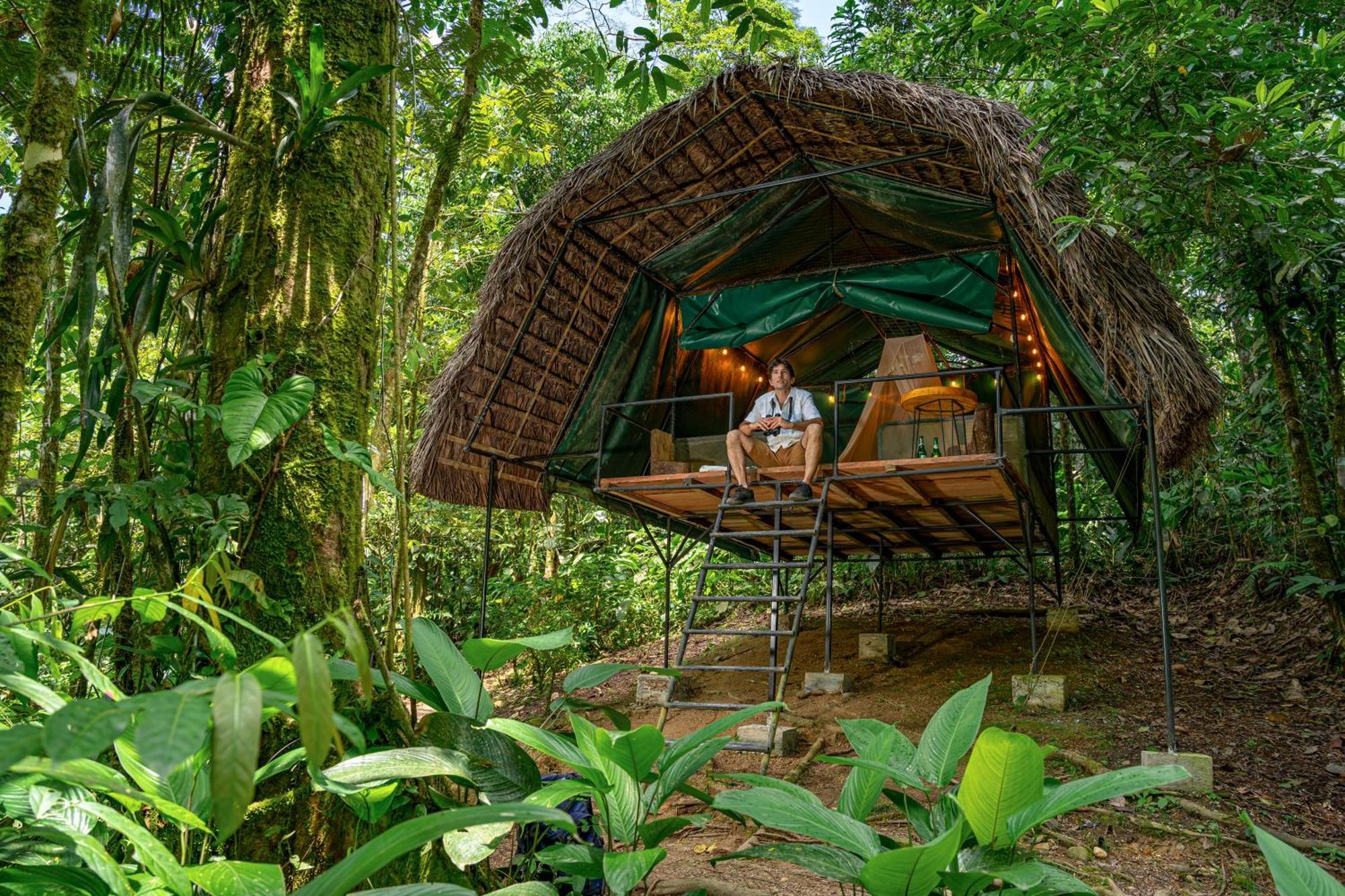 Hamadryade Lodge Puerto Misahuallí Habitación foto